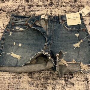 Abercrombie & Fitch The Mom Short High Rise